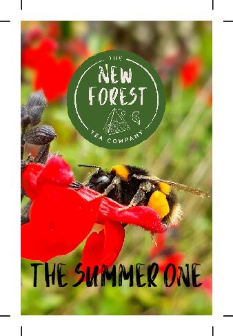The Summer One - Fruity