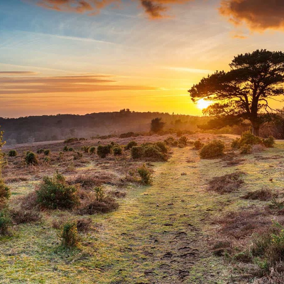 Dramatic sunset over the New Forest National Park at Bratley View near Lyndhurst in Hampshire